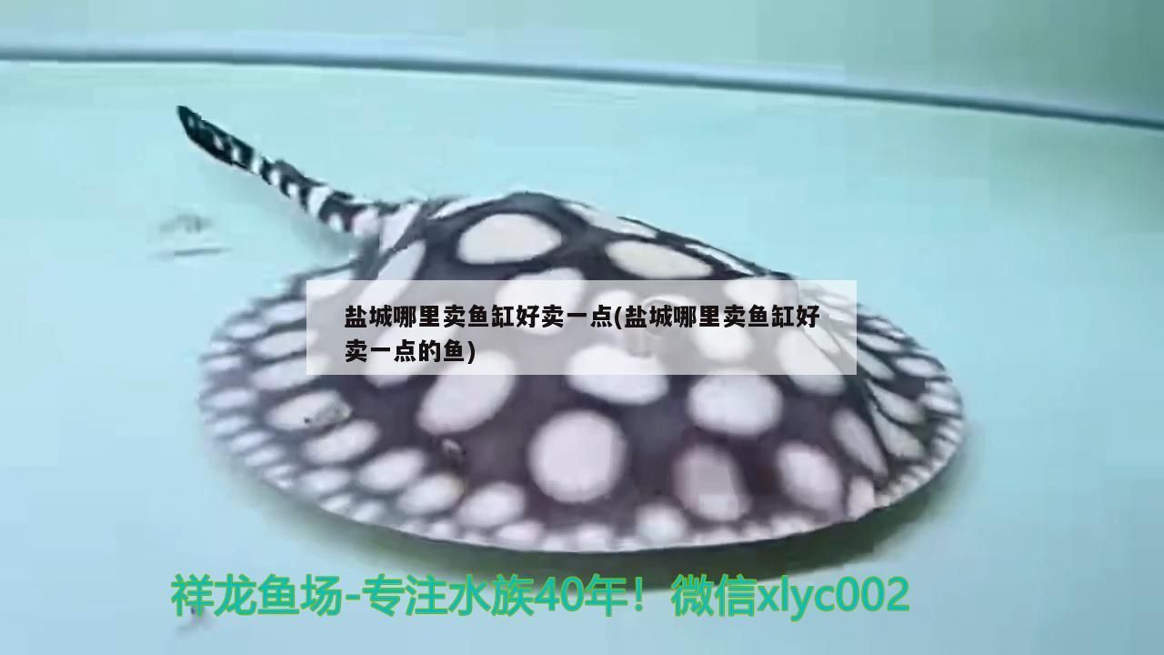 鹽城哪里賣魚缸好賣一點(鹽城哪里賣魚缸好賣一點的魚)