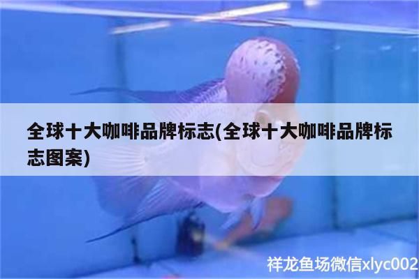 全球十大咖啡品牌標(biāo)志(全球十大咖啡品牌標(biāo)志圖案)
