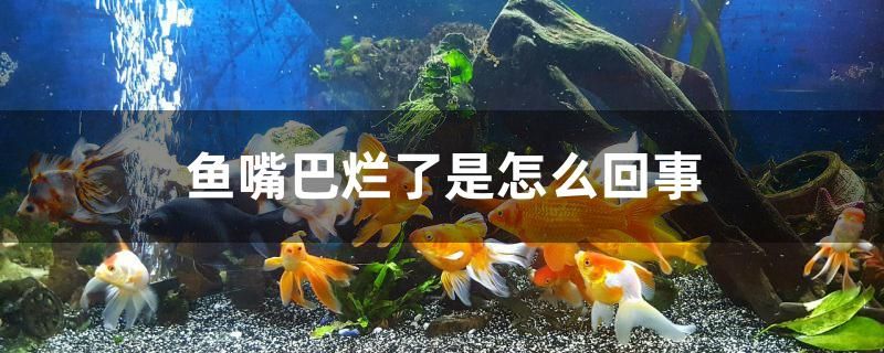 生龍結穴的地方有哪些特征，生龍結穴之地方往往有哪些著名的生龍結穴之地有哪些特征