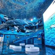 開一家水族館的成本預算是多少錢（開一家水族館成本預算）