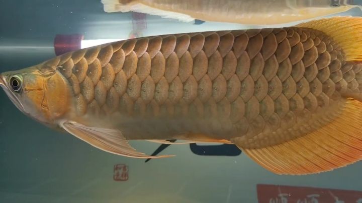 打卡打卡