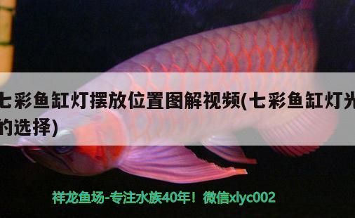 七彩魚缸燈擺放位置圖解視頻(七彩魚缸燈光的選擇) 七彩魚缸燈擺放位置圖解視頻(七彩魚缸燈光的選擇) iwish愛唯希品牌魚缸