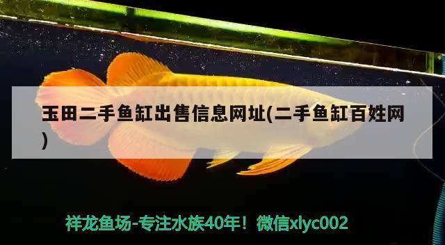玉田二手魚缸出售信息網(wǎng)址(二手魚缸百姓網(wǎng))