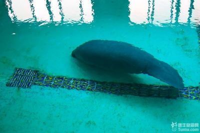 好聽的水族館名字大全（水族館名字大全）