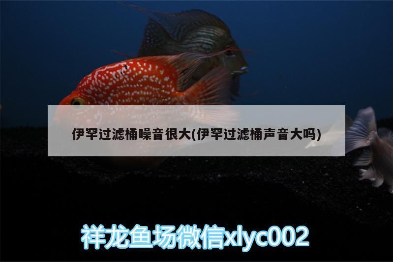伊罕過濾桶噪音很大(伊罕過濾桶聲音大嗎)