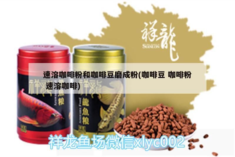 速溶咖啡粉和咖啡豆磨成粉(咖啡豆咖啡粉速溶咖啡)