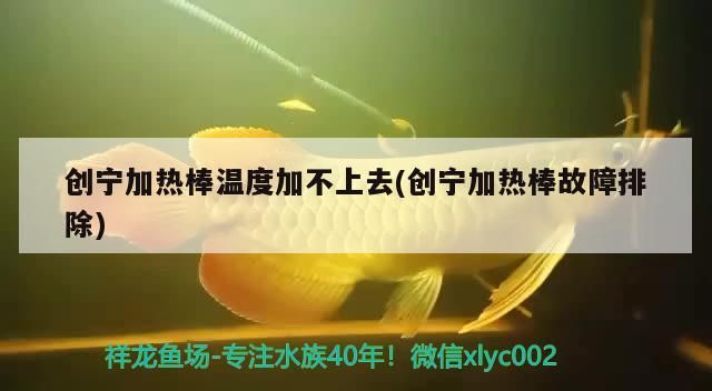 創寧加熱棒溫度加不上去(創寧加熱棒故障排除)