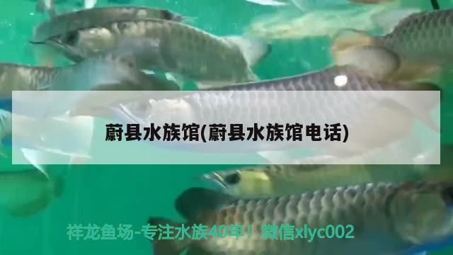 蔚縣水族館(蔚縣水族館電話)