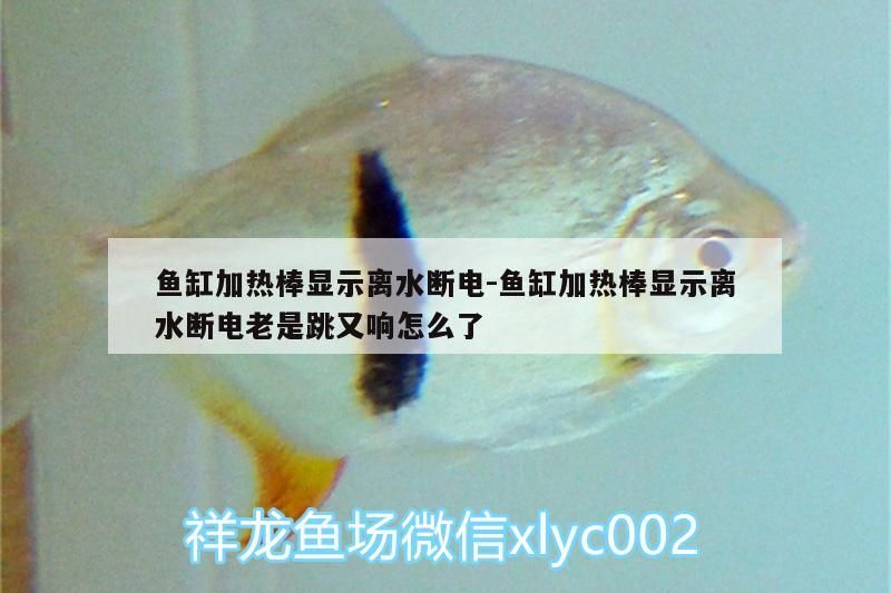 魚缸用增氧泵價格是多少:魚缸增氧機-xtrac增氧機-xtrac增氧機 魚缸加熱棒顯示離水斷電:魚缸加熱棒顯示離水斷電老是跳又響怎么了 黃金貓魚百科 魚缸加熱棒顯示離水斷電:魚缸加熱棒顯示離水斷電老是跳又響怎么了 魚缸加熱棒顯示離水斷電:魚缸加熱棒顯示離水斷電老是跳又響怎么了 黃金貓魚百科