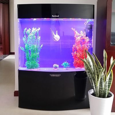 2024年觀賞魚展覽會時間表：20192024年觀賞魚展覽會時間表