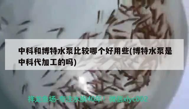 中科和博特水泵比較哪個(gè)好用些(博特水泵是中科代加工的嗎)