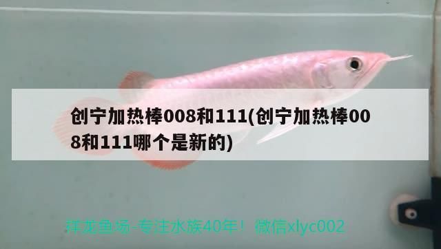 創(chuàng)寧加熱棒008和111(創(chuàng)寧加熱棒008和111哪個(gè)是新的)
