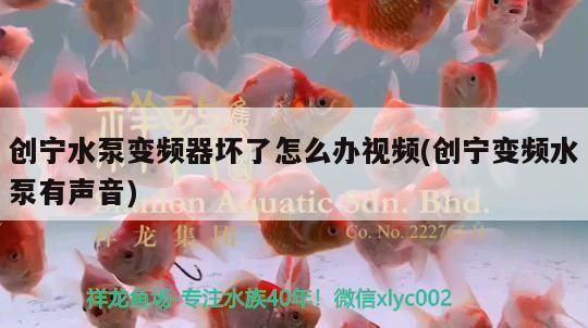 創寧水泵變頻器壞了怎么辦視頻(創寧變頻水泵有聲音)