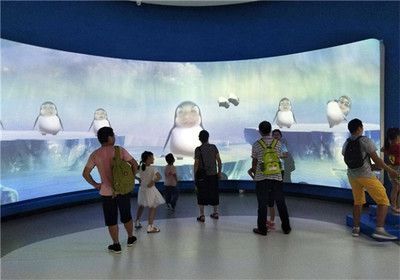 祥龍水族館VR體驗特色介紹（祥龍水族館vr體驗特色）