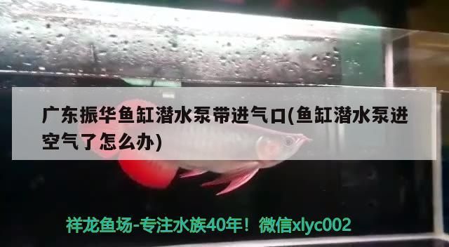 廣東振華魚缸潛水泵帶進氣口(魚缸潛水泵進空氣了怎么辦)