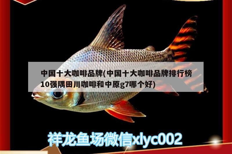 中國十大咖啡品牌(中國十大咖啡品牌排行榜10強隅田川咖啡和中原g7哪個好)