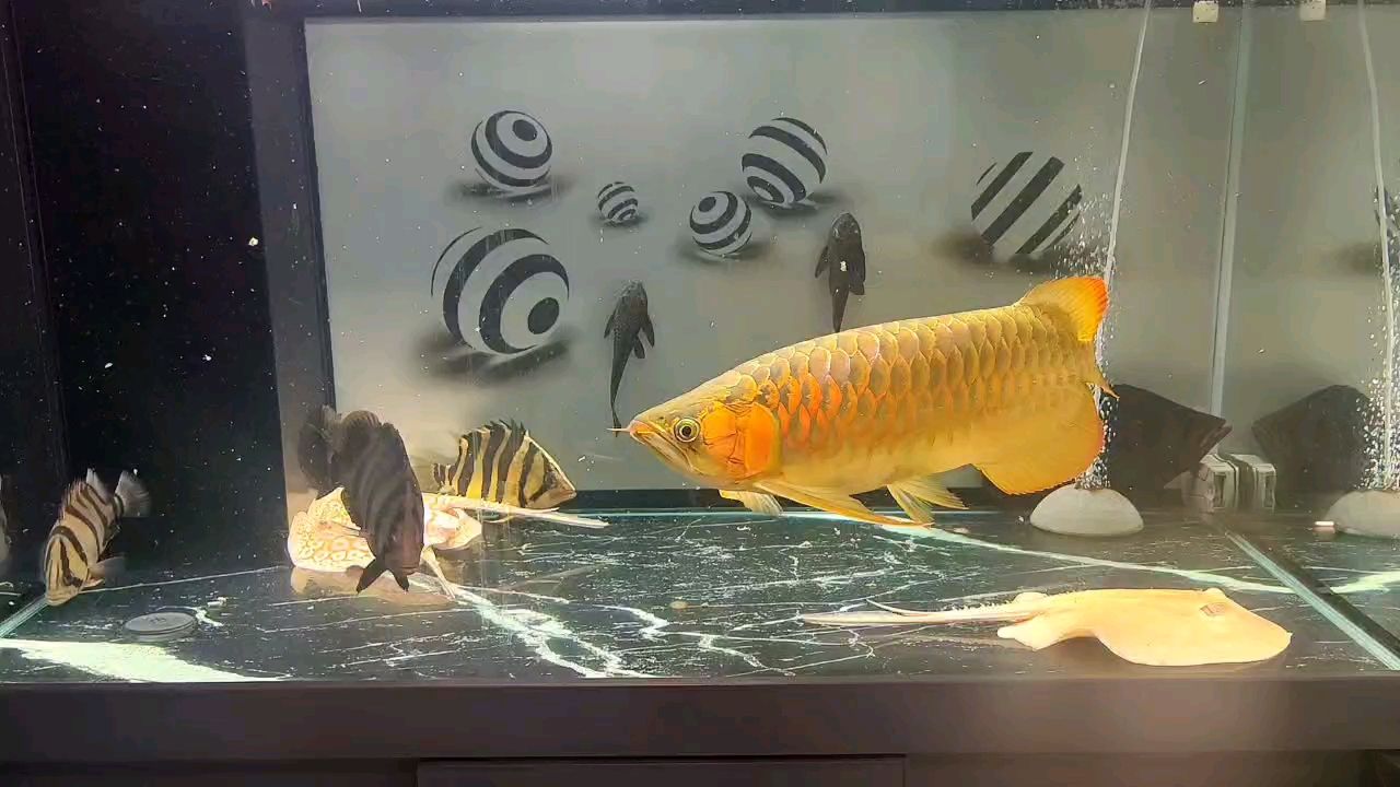 11-20，更新，變化小，更新慢