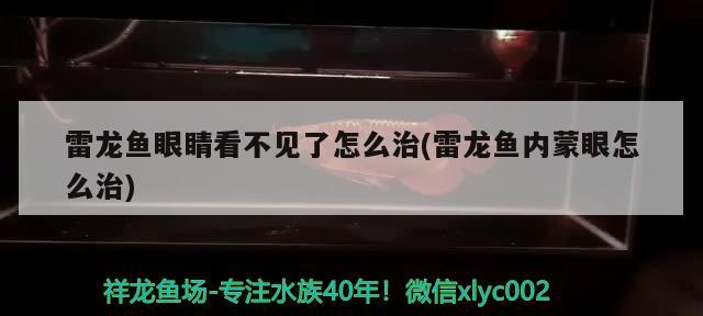 雷龍魚眼睛看不見了怎么治(雷龍魚內蒙眼怎么治)