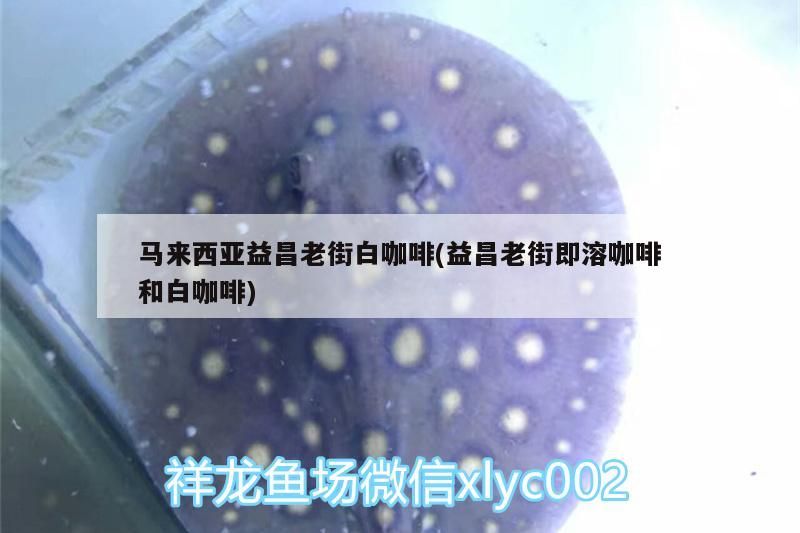 馬來西亞益昌老街白咖啡(益昌老街即溶咖啡和白咖啡)