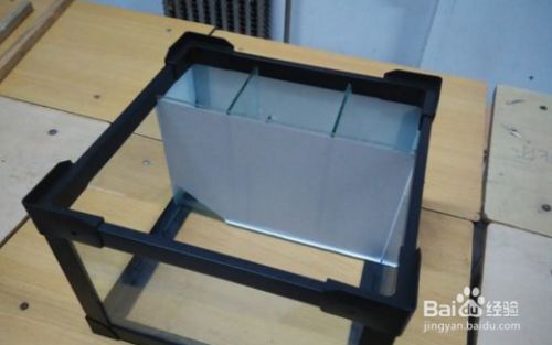 龍魚專用魚缸怎么做，如何制作一個適合龍魚生存的專用魚缸