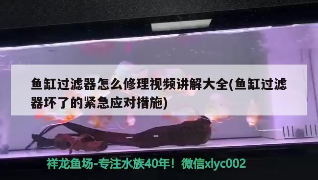 魚缸過濾器怎么修理視頻講解大全(魚缸過濾器壞了的緊急應對措施)