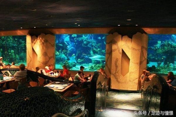 中國最大的水族館是哪個：中國最大的水族館是長隆海洋王國 中國最大的水族館是哪個：中國最大的水族館是長隆海洋王國 水族館百科（水族館加盟） 第2張