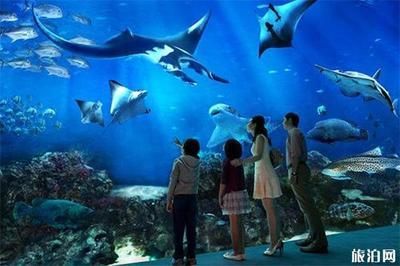 中國最大的水族館是哪個：中國最大的水族館是長隆海洋王國 中國最大的水族館是哪個：中國最大的水族館是長隆海洋王國 水族館百科（水族館加盟） 第4張