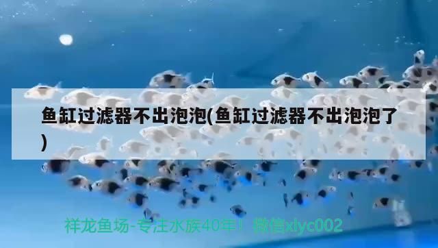 魚缸過濾器不出泡泡(魚缸過濾器不出泡泡了)