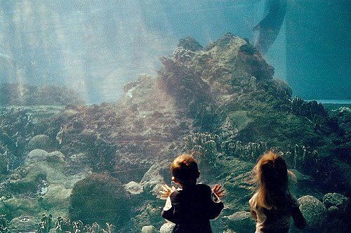 開水族館靠什么掙錢貼吧：開水族館的盈利模式