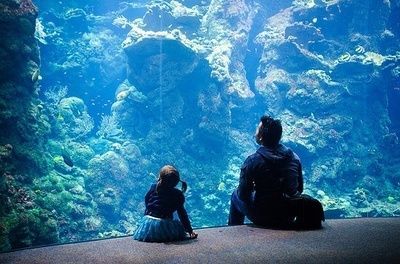 開水族館靠什么掙錢貼吧：開水族館的盈利模式
