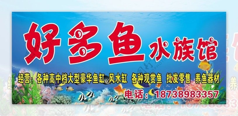 水族館門頭牌圖片大全(水族館門頭牌圖片大全展示了多種風格的水族館門頭牌) 水族館百科(水族館加盟) 第2張 水族館門頭牌圖片大全(水族館門頭牌圖片大全展示了多種風格的水族館門頭牌) 水族館門頭牌圖片大全(水族館門頭牌圖片大全展示了多種風格的水族館門頭牌) 水族館百科(水族館加盟) 第2張