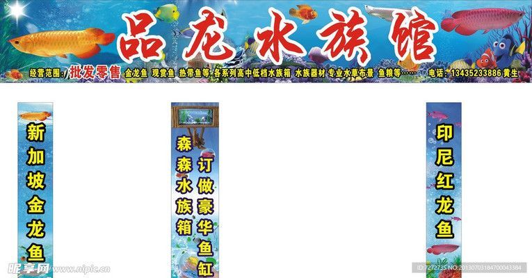 水族館門頭牌圖片大全(水族館門頭牌圖片大全展示了多種風格的水族館門頭牌) 水族館百科(水族館加盟) 第3張 水族館門頭牌圖片大全(水族館門頭牌圖片大全展示了多種風格的水族館門頭牌) 水族館門頭牌圖片大全(水族館門頭牌圖片大全展示了多種風格的水族館門頭牌) 水族館百科(水族館加盟) 第3張