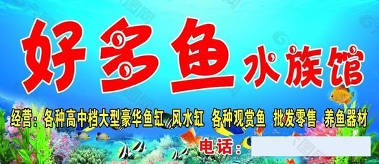 水族館門頭牌圖片大全(水族館門頭牌圖片大全展示了多種風格的水族館門頭牌) 水族館百科(水族館加盟) 第4張 水族館門頭牌圖片大全(水族館門頭牌圖片大全展示了多種風格的水族館門頭牌) 水族館門頭牌圖片大全(水族館門頭牌圖片大全展示了多種風格的水族館門頭牌) 水族館百科(水族館加盟) 第4張