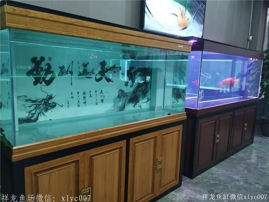 祥龍水族館品牌故事分享（上海祥龍水族館）