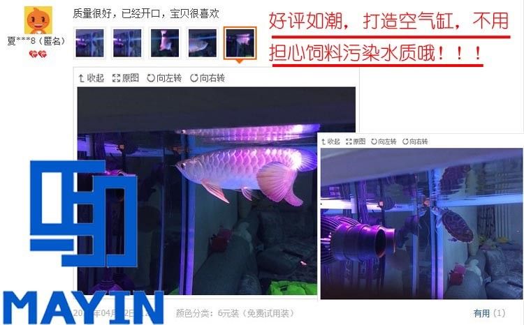 馬印龍魚飼料金龍魚飼料龍魚飼料專用魚食紅龍魚飼料龍魚飼料活體