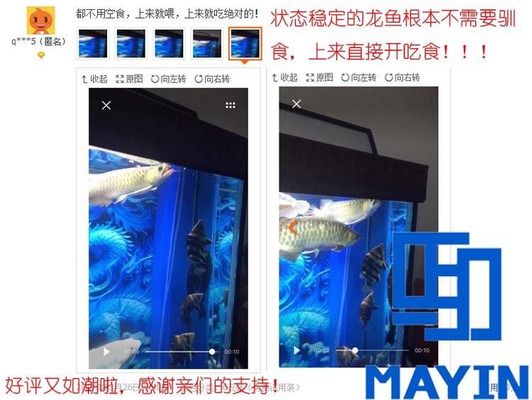 馬印龍魚飼料金龍魚飼料龍魚飼料專用魚食紅龍魚飼料龍魚飼料活體
