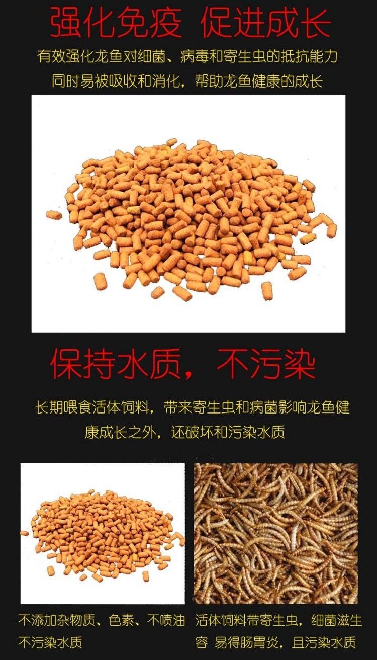 馬印龍魚飼料金龍魚飼料龍魚飼料專用魚食紅龍魚飼料龍魚飼料活體