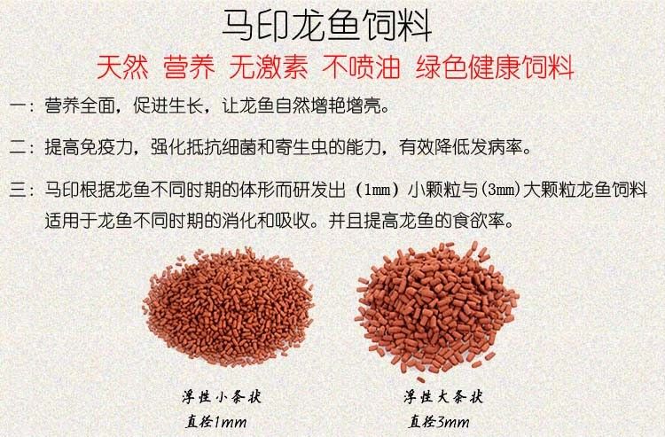 馬印龍魚飼料金龍魚飼料龍魚飼料專用魚食紅龍魚飼料龍魚飼料活體