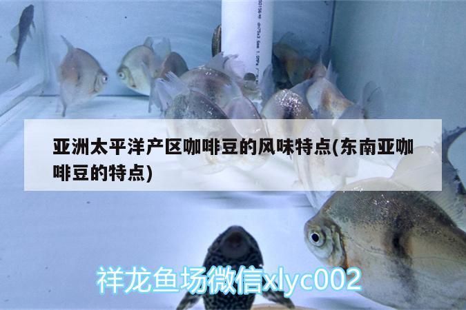 亞洲太平洋產(chǎn)區(qū)咖啡豆的風味特點(東南亞咖啡豆的特點) 亞洲太平洋產(chǎn)區(qū)咖啡豆的風味特點(東南亞咖啡豆的特點) 馬來西亞咖啡