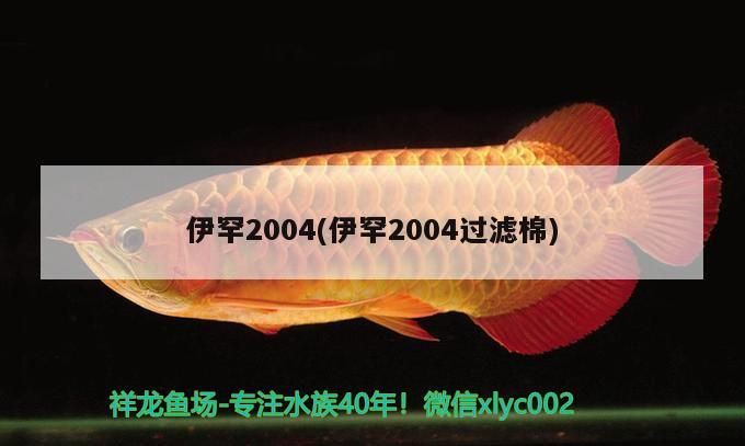 伊罕2004(伊罕2004過濾棉) 伊罕2004(伊罕2004過濾棉) 伊罕水族