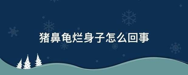 金魚缸里放什么牌子金魚缸好，金魚缸里放什么植物好，金魚缸選擇什么牌子好