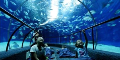 成都水族館在哪里（成都水族館親子活動(dòng)安排）