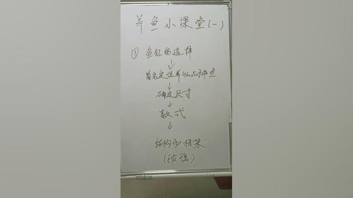 賣魚和魚缸的店叫什么（賣魚和魚缸的店叫什么名字）