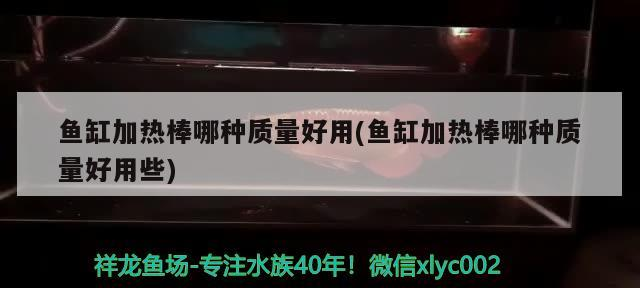 魚缸加熱棒哪種質量好用(魚缸加熱棒哪種質量好用些)