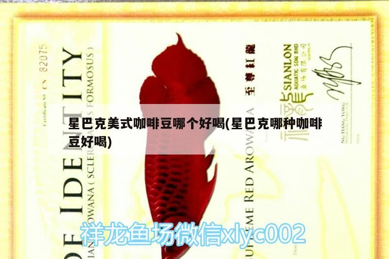 星巴克美式咖啡豆哪個好喝(星巴克哪種咖啡豆好喝)