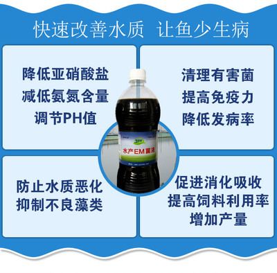 三合一過濾器，現代水處理技術的革命性突破，三合一過濾器，現代水處理技術的革命性突破