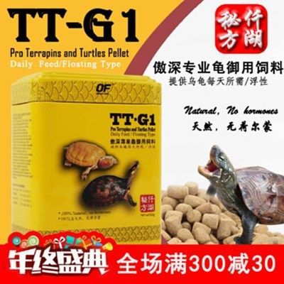 豬鼻龜可以食用嗎圖片：養殖豬鼻龜的注意事項