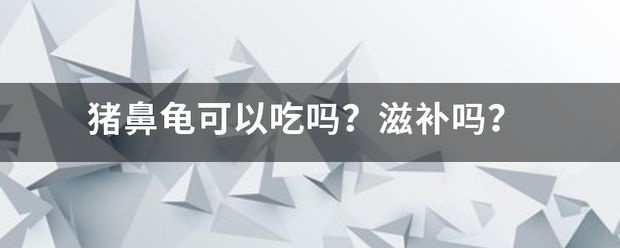 豬鼻龜可以食用嗎圖片：養殖豬鼻龜的注意事項