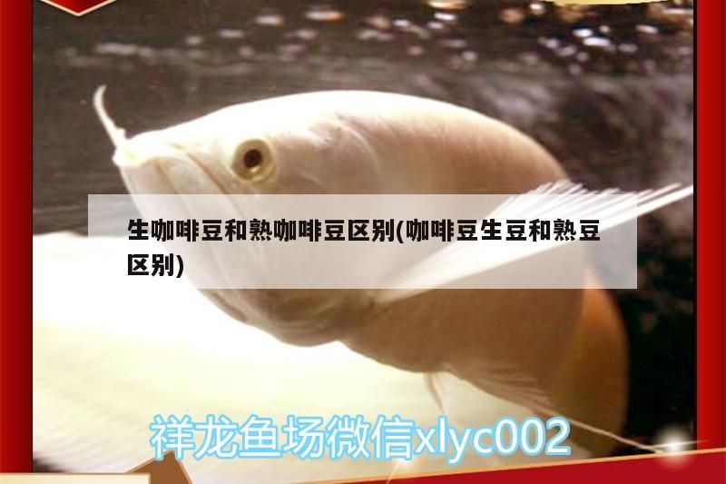 生咖啡豆和熟咖啡豆區別(咖啡豆生豆和熟豆區別) 生咖啡豆和熟咖啡豆區別(咖啡豆生豆和熟豆區別) 馬來西亞咖啡