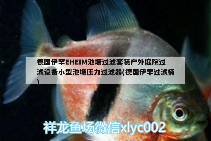 德國伊罕EHEIM池塘過濾套裝戶外庭院過濾設(shè)備小型池塘壓力過濾器(德國伊罕過濾桶)